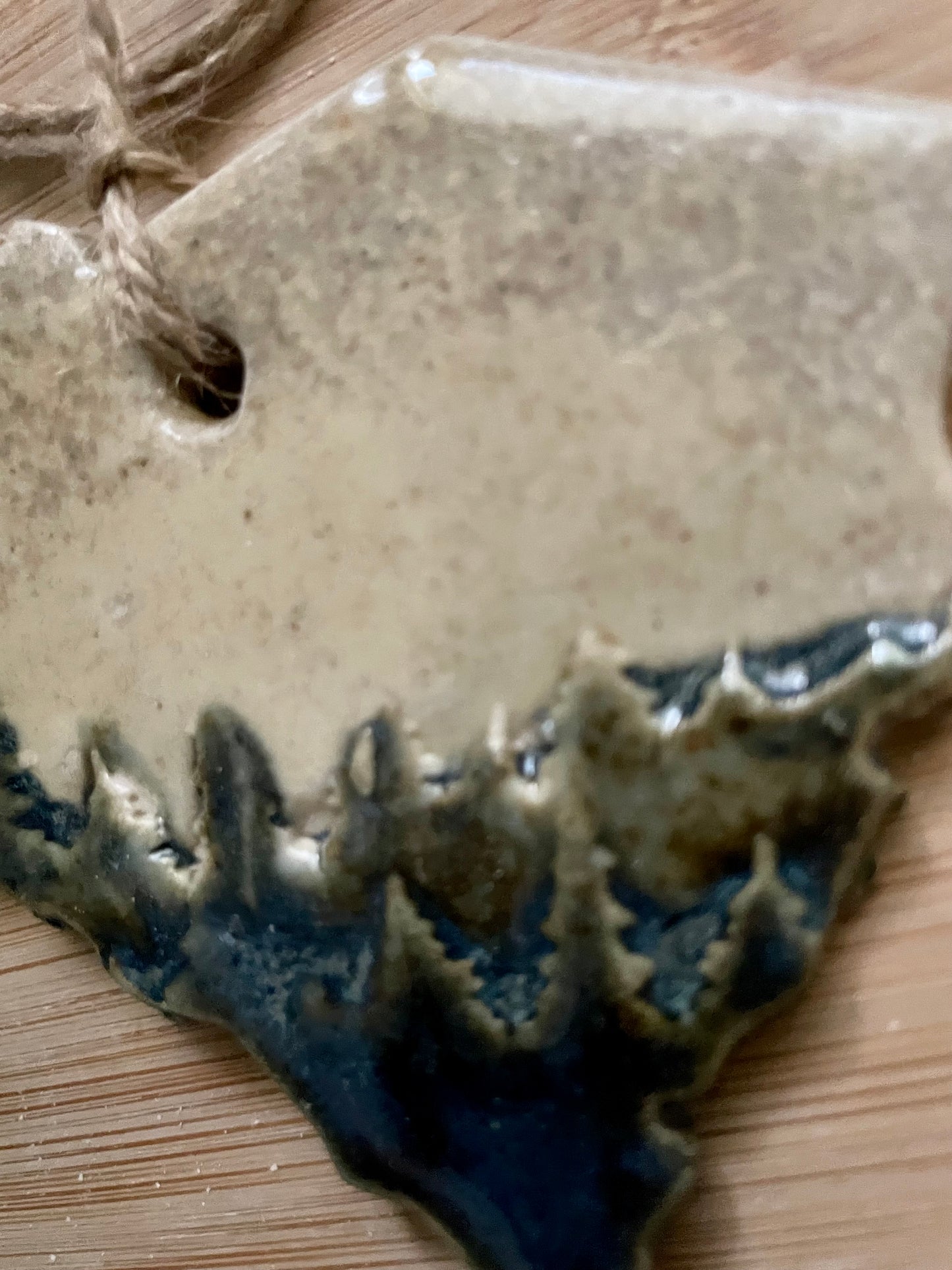 South Carolina Rustic Clay Ornament